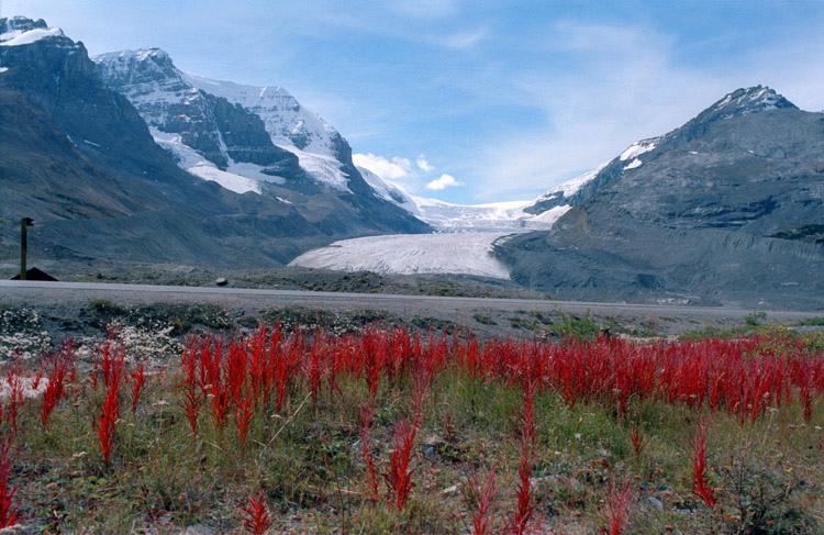 Athabasca Glacier Columbia Icefield Canadian Rockies Canada Roadtrip