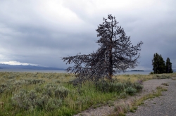 Yellowstone Lake Wyoming USA Roadtrip
