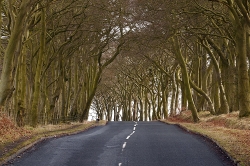 Road in Bathgate Scotland