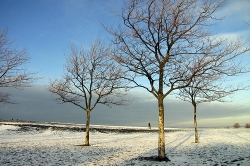 Winter scene Kastrup Denmark